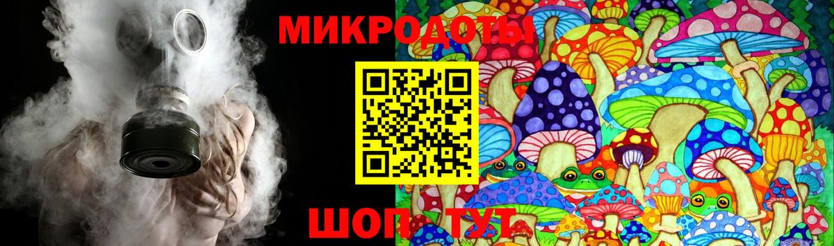 Владимир  Галлюциногенные грибы Psilocybe  Вход с VPN  Псилоцибиновые грибы мицелий 