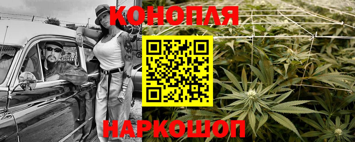 Бошки марихуана ГИДРОПОН  Вход с VPN  Канабис White Widow  Владимир  Конопля гибрид 